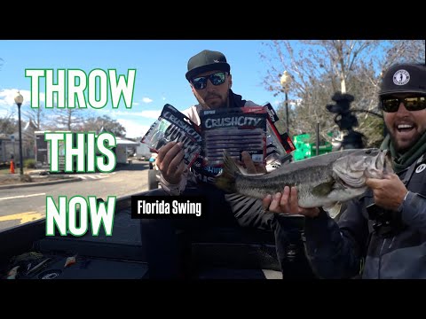 THROW THIS NOW - Bait Breakdown (St Johns Elite/ Florida edition)