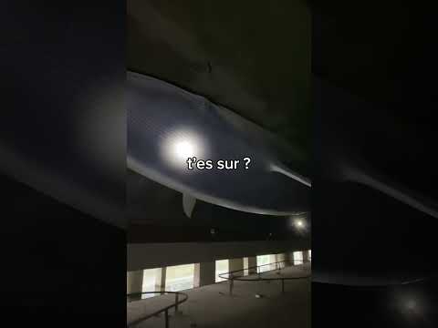Vous savez c'est quoi ?