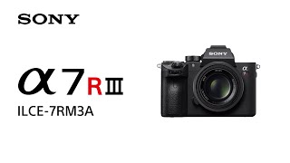 Product Feature | Alpha 7R III (ILCE-7RM3A) | Sony | α