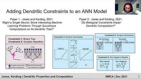 How Do Dendritic Properties Impact Neural Computation? | NMC4.0 | Ilenna Jones