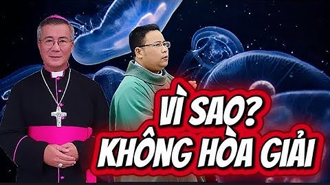 vì sao không hòa giải được#linhmụcđặnghữunam