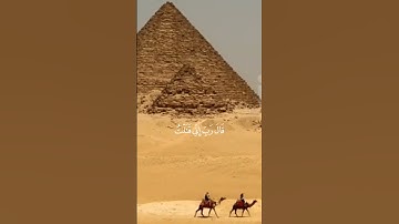 تلاوة خاشعة بصوت ياسر الدوسري❤️‍🩹| #القرآن_الكريم #قران_كريم #اكسبلور #ياسر_الدوسري #راحة_نفسية