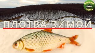 ПЛОТВА ЗИМОЙ МЕСТА ПРИКОРМКИ