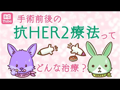 【初期治療の薬】乳がん手術前後の抗HER2療法ってどんな治療？【乳腺科医が解説】 《BC Tube：乳癌の専門家による情報発信グループ》