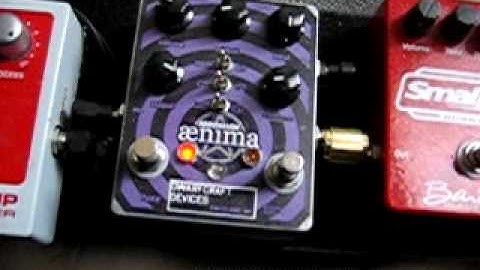 Kevin Ian Common Spectacular Aenima Demo 2