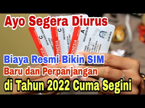 Video: Berapa biaya untuk mendapatkan SIM di New Mexico?