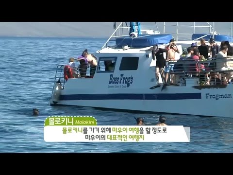 Vídeo: El Mejor Snorkeling En Ulleungdo, Corea Del Sur