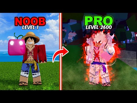 Noob to Pro