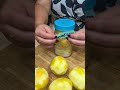 how I used up 30 lemons from my tree
