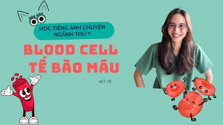 Blood Cell Vocabulary | Tiếng Anh chuyên ngành thú y dễ hiểu cho sinh viên