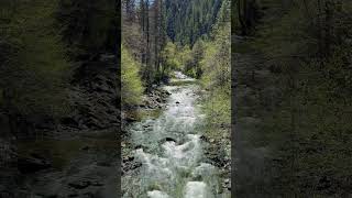 Applegate River, Oregon #nature 