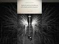 Why the world hates those who can't be controlled #NikolaTesla #Mindset #Truth