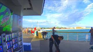 2017 Fall Mackerel Tournament - Mark & Austin's Big Kings