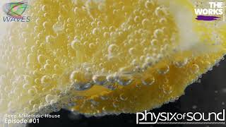 WAVES Episode#01 - Deep & Melodic house (124~125bpm) by Physix of Sound