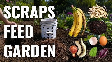 7 Easy Ways to Compost Kitchen Scraps in Your Garden