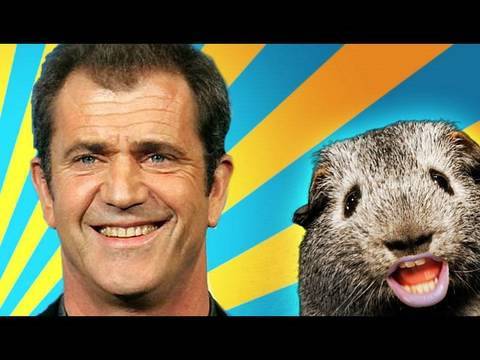 Mel Gibson goes CRAZY AGAIN!!!
