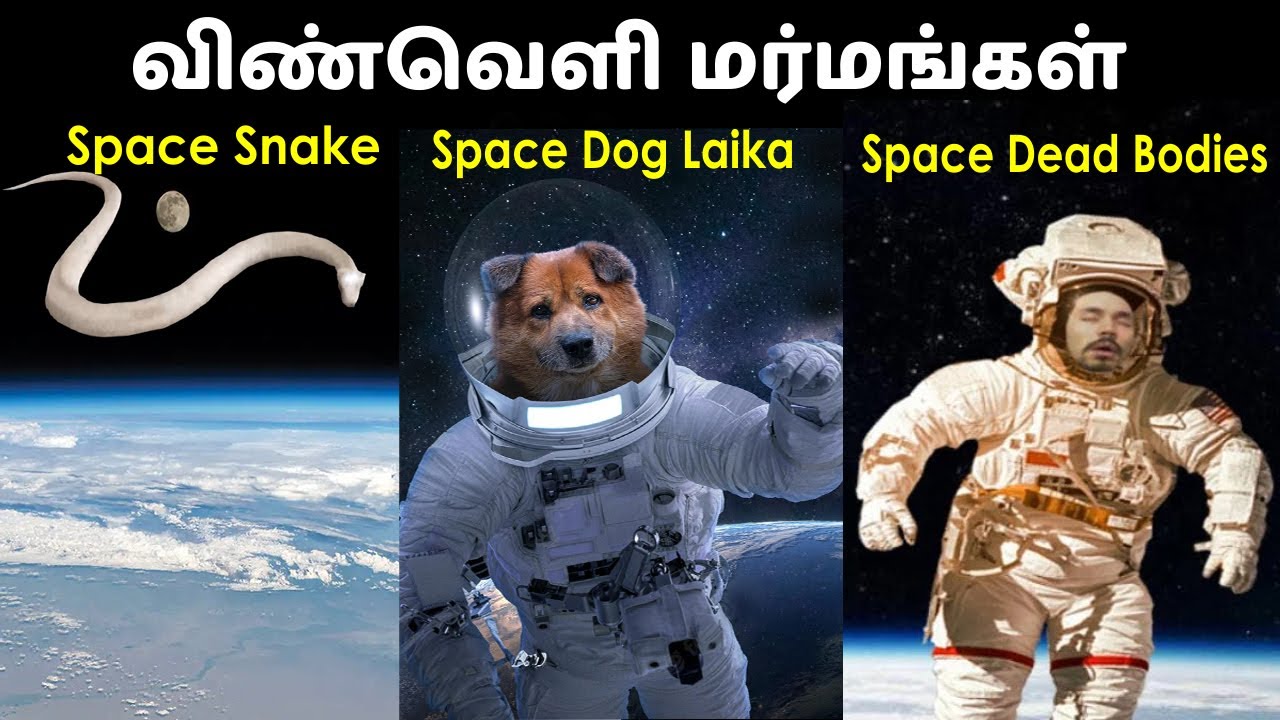 விண்வெளியில் சடலங்கள் [ Truth Behind Animals Sent To Space ]