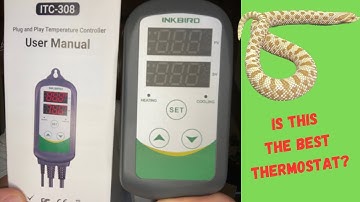 Is This The Most Affordable Thermostat For Reptile Enclosures?