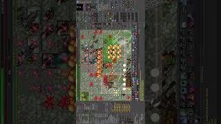 #tibia ms 377 solo summer court #tibiaglobal #tibia2025 #mmorpg