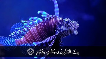 سورةُ الحِجْرِ كاملة - ترتيبها 15 - الآيات [ من 1 إلى 99 ] - القاريء هَزاع البِلُوشي
