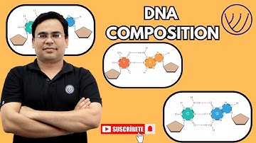 DNA COMPOSITION | BASICS OF DNA STRUCTURE | MOLECULAR BIOLOGY CSIR NET LIFE SCIENCE | NILESH SONI