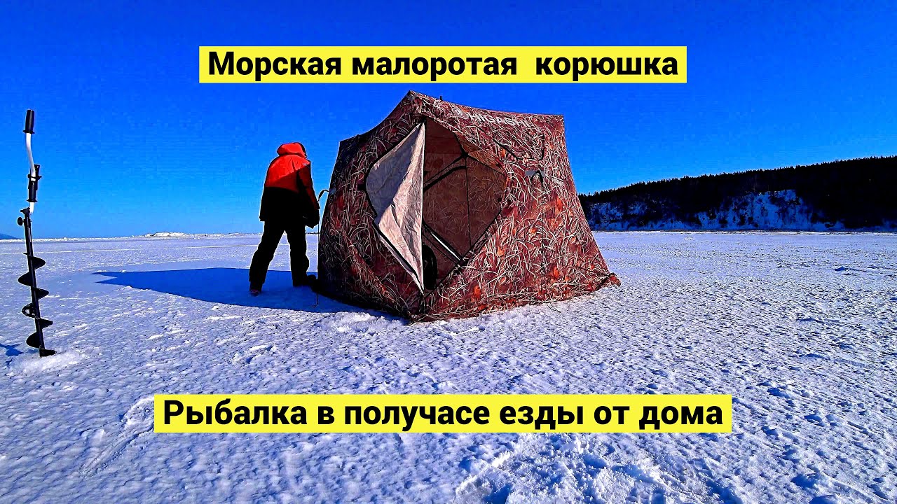 Морская малоротая корюшка ☀️ Рыбалка в получасе езды от города // (Eng ...