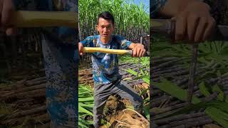 Village Books Helps Farmers