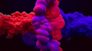 🎥 | دورة أساسيات التصوير الفوتوغرافي .. screenshot 5