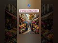 12 Umbrellas are hiding in this market.Can you beat the 30-second record? 6"