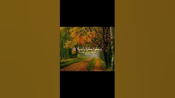 قران كريم ياسر الدوسري #قرآن_كريم #صوت_جميل #قرآن_كريم #yasseraldossary #قرآن #راحة_نفسية #قران_كريم