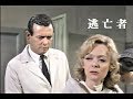 逃亡者 ★第39話・死地に帰る★(映像の乱れ有り)