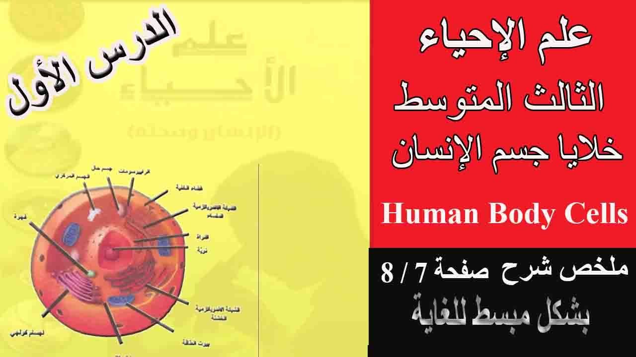 أحياء الثالث المتوسط | خلايا جسم الإنسان | ملخص صفحة 7 - 8 | الدرس الأول | Human Body Cells