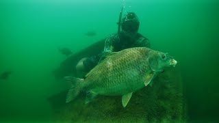 Spearfishing Texas Lake {Catch Clean Cook} Buffalo Ribs