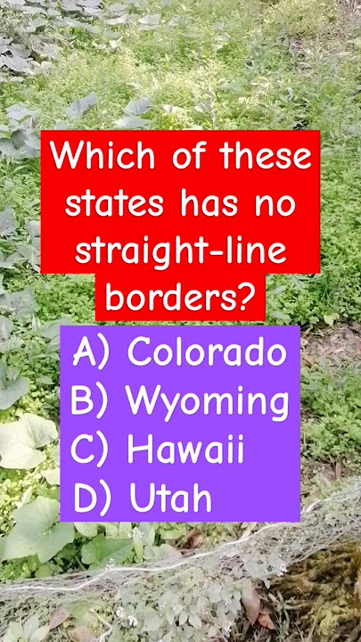 Which of these states has no straight-line borders? #shorts #trending #puzzle #puzzlegames #quiz