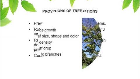 Adding Micro-Injection Services to Your Tree Care Business | Mauget Advanced Training