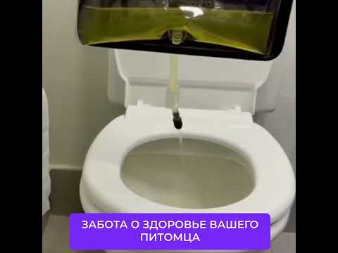 Туалет для собак