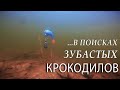 Как поймать ЩУКУ ВЕСНОЙ? Советы, тонкости, секреты рыболова любителя.  Рыбалка с берега на джиг!