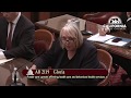 Transwoman testifies against puberty blockers for CA Foster Kids