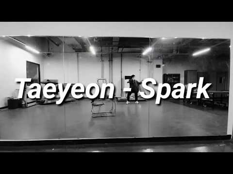 [#춤추는수의사] #태연 #불티 #Taeyeon #Spark 안무 연습영상