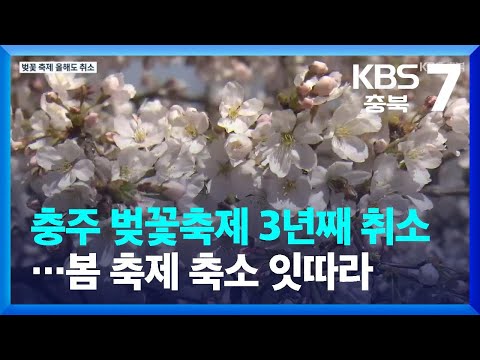 [여기는 충주] 충주 벚꽃축제 3년째 취소…봄 축제 축소 잇따라 / KBS  2022.03.31.