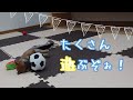 【豆柴】子犬　12/14　男の子♂　摂州宝山荘　mameshiba dog Puppy （mame shiba inu)