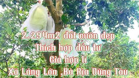 Bán đất vườn đẹp đối diện green farm ở láng lớn bà rịa vũng tàu vị trí phù hợp để nghỉ dưỡng