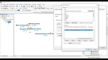 How to set two label on and different coloring .shp file using Arc GIS