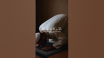ارح سمعك و قلبك 💚 #قرآن #تلاوة_خاشعة #راحة_نفسية #ارح_قلبك #اكسبلور #الله #لايك #دويتو #حالات_واتس