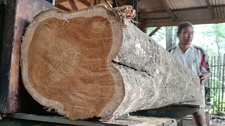 Large and beautiful sheets of the most expensive teak wood sawing process in the sawmill 