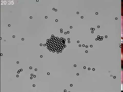 Light driven diffusioosmosis