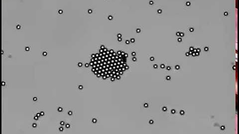 Light driven diffusioosmosis
