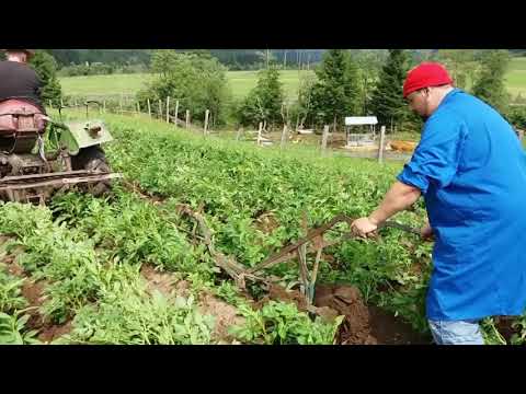 Bauer Hons - Erdäpfelanbau - Teil 2