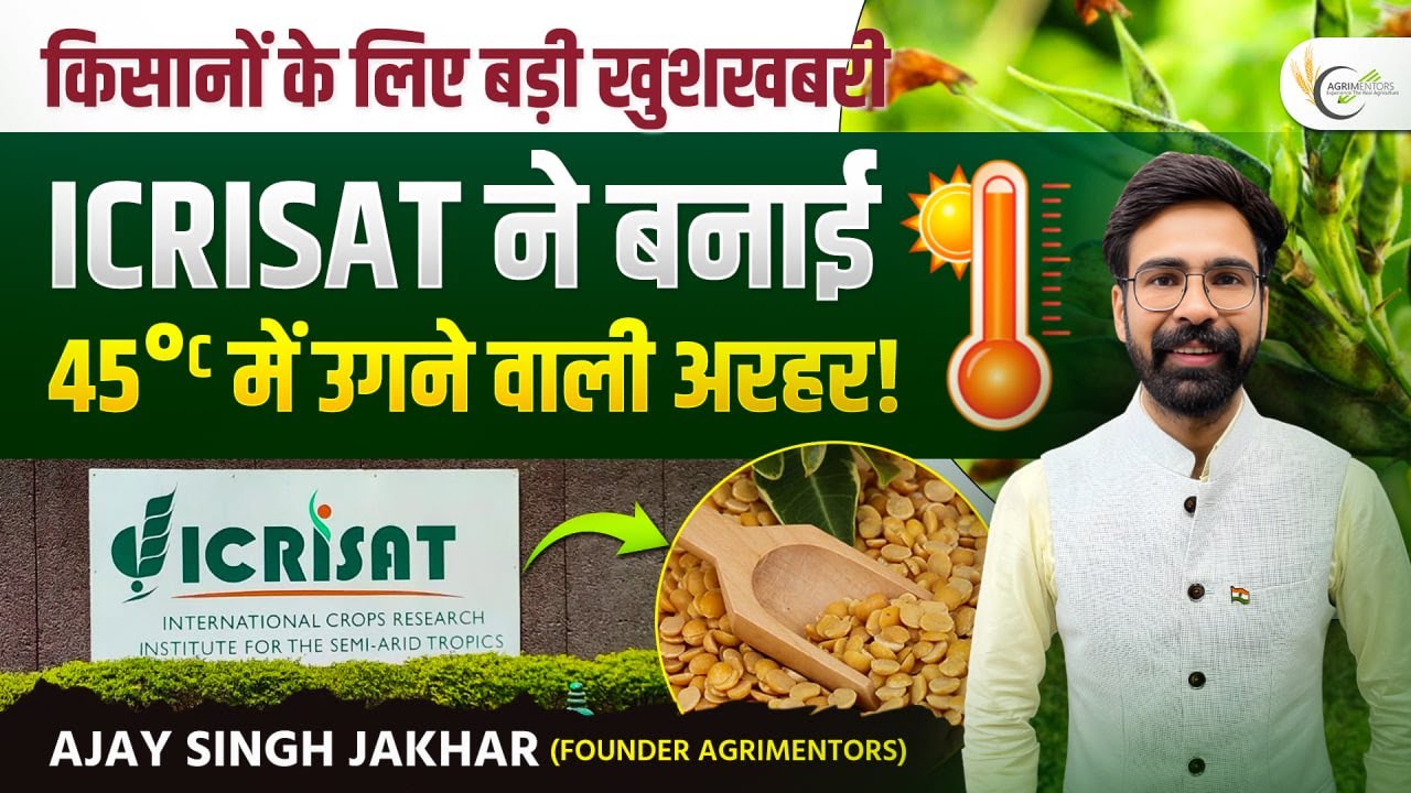 ICRISAT Unveils Heat-Proof Pigeonpea That Grows in 45°C Heat | Game-Changer for Indian Farmers!