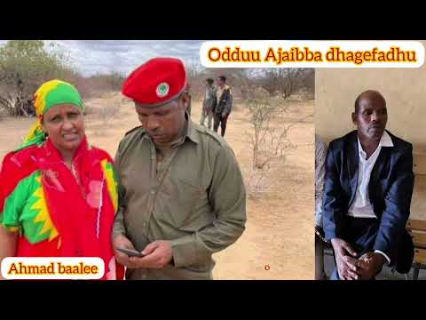 Odduu Amaa Demaa Jiruu Jaal Maroo Fi Abiyii Ahmad Walii Galtee